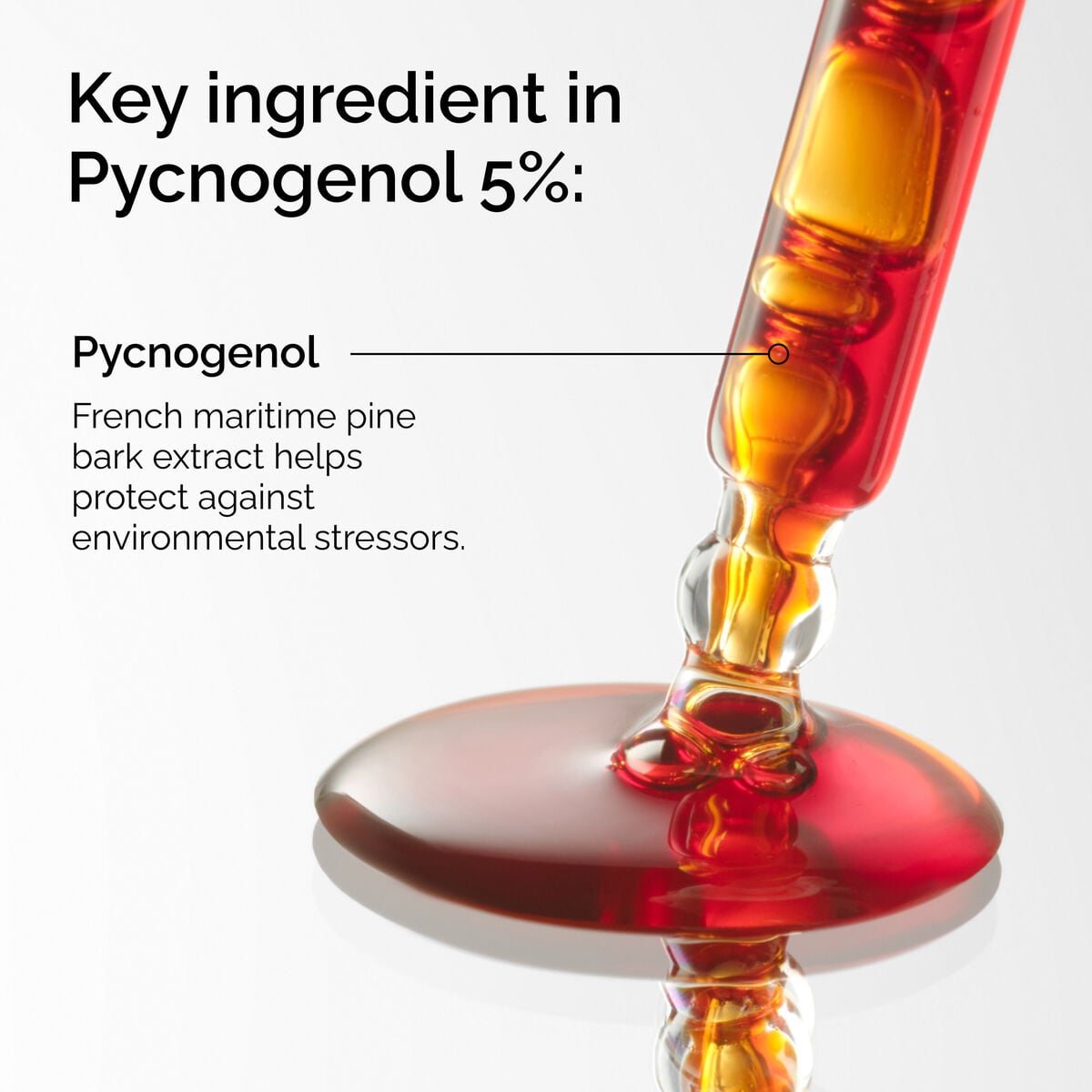 pycnogenol-5-x3 FY25-D41247-ORD-Web-PDP-Pyc-5pct-1x1-EN-2a.jpg