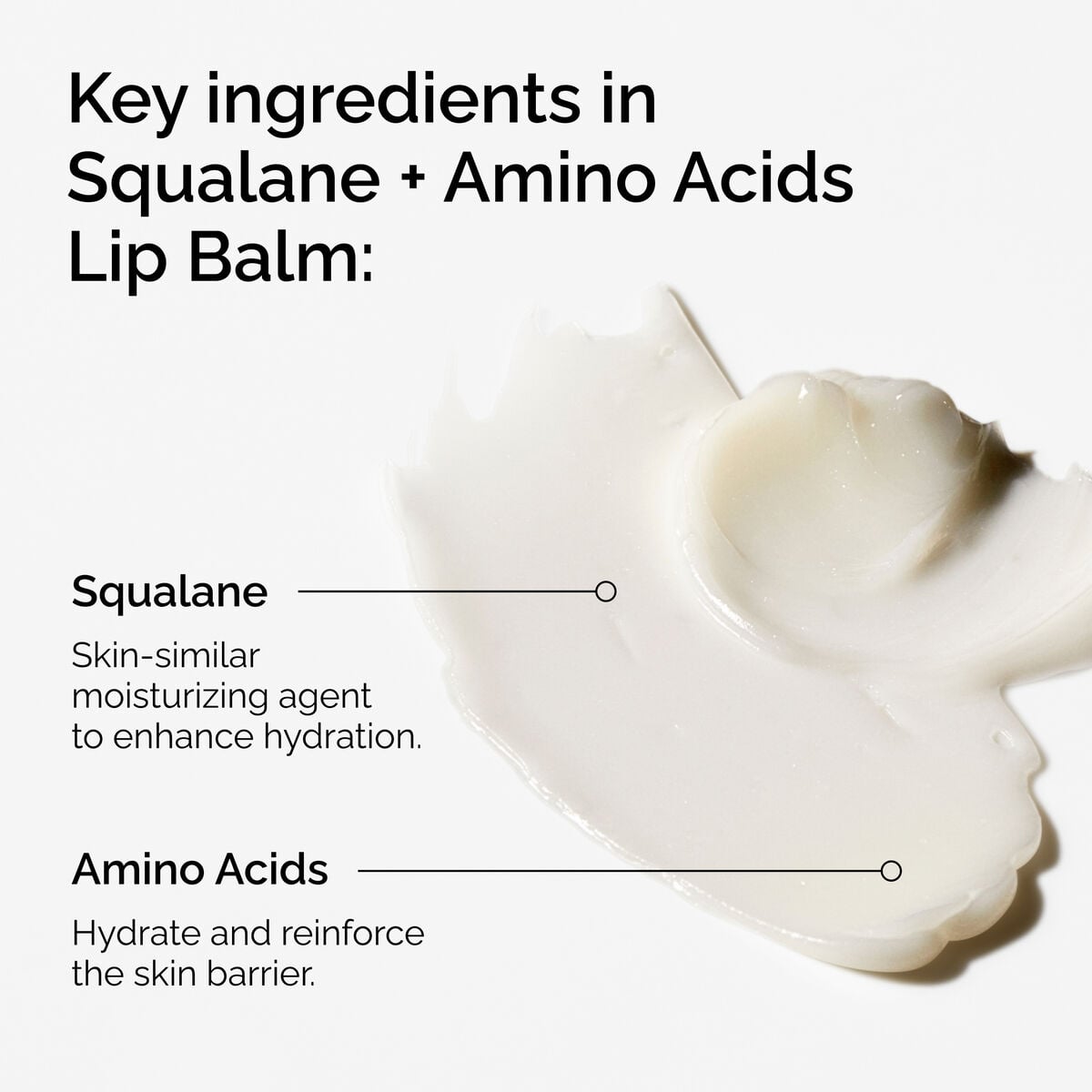 squalane-amino-acids-lip-balm-c8 FY25-D41247-ORD-Web-PDP-Sql-Amino-Lip-1x1-EN-2a.jpg