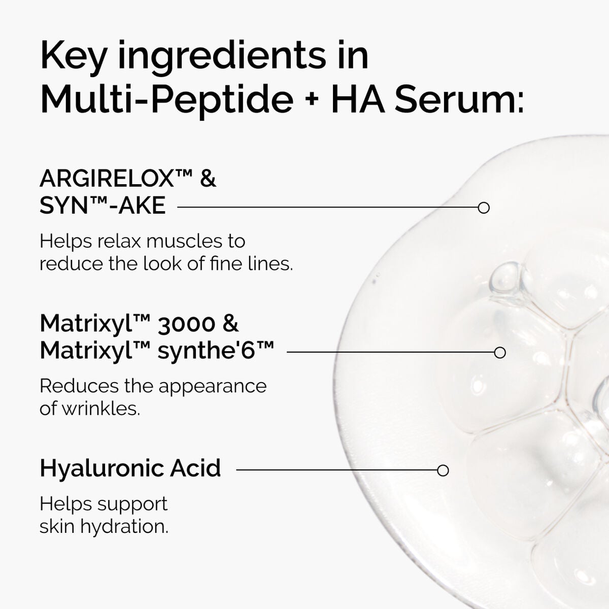 the-age-support-set-e2 ord-multi-peptide-ha-ingredients-graphic.jpg