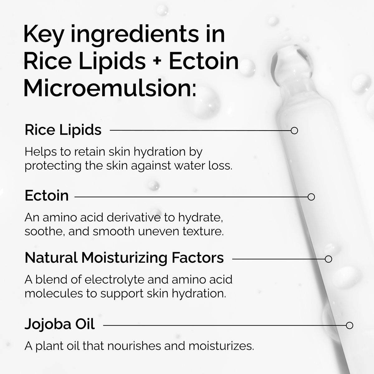 rice-lipids-ectoin-microemulsion-w6 ord-rice-lipids-ectoin-microemulsion-key-ingredients.png