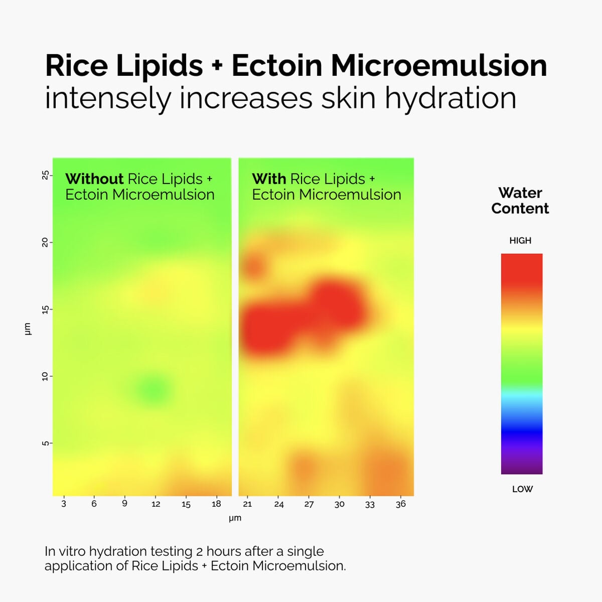 rice-lipids-ectoin-microemulsion-w6 ord-rice-lipids-ectoin-microemulsion-thermal-before-after.jpg